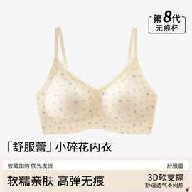 2026蕾丝碎花内衣女小胸聚拢防下垂收副乳文胸罩蕾丝内衣小胸聚拢