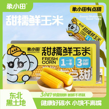 ��С����Ŵ�r���׆�֧�b��Ŵ�����װ��|������������