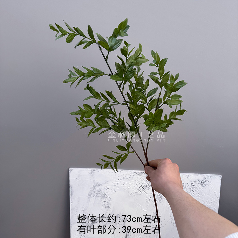 황실 첩 잔디 녹색