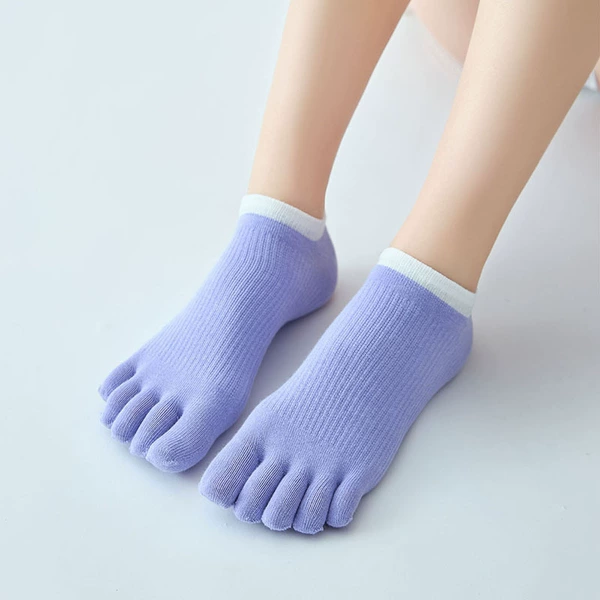 Lavender purple