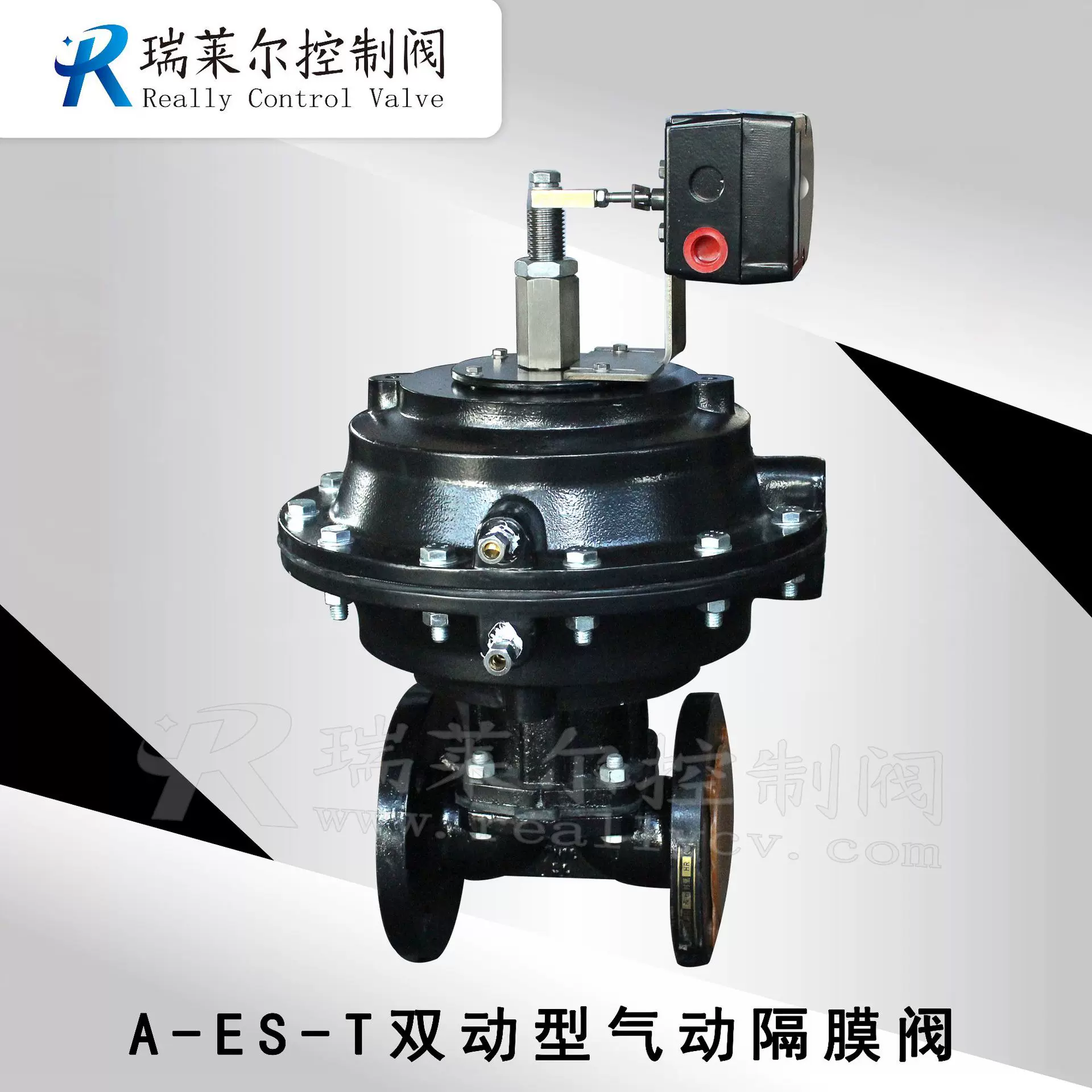 A-ES-T双动型气动隔膜阀 A-ES-54-T3210