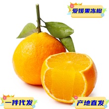 现货一件代发四川眉山爱媛38号果冻橙现摘现发供应电商各大平台
