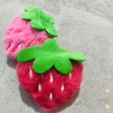 ��ͨë�q��ݮ�l�A�ɐ���ż��ݮ��ᘷ��b������Ь����o��������l
