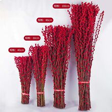 银柳真花鲜枝春节年宵花卉水培植物干花红色银柳客厅包邮包邮批发