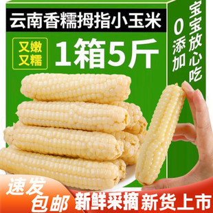 ������p��{Ĵָ���׼�ʳ��ʹ������r��������Ŵ������ָС����