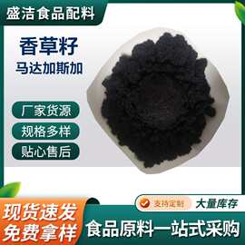 香草籽马达加斯加香荚兰籽现货供应食品级植物香料香草籽干籽