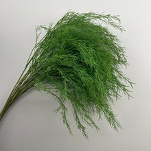 羳GֲJ횲ݻYˇ쾰׾Gɭϵcl