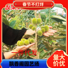 һ�����l���������޽��ش�߮a���Ә�������箔��Y���ϱ����N