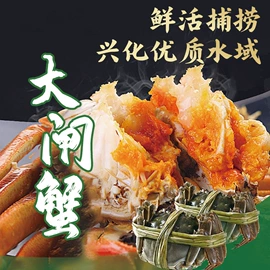 速冻中式面点;小龙虾;蟹类