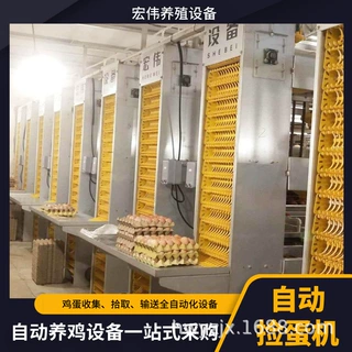 层叠式鸡笼拾蛋机批发 全镀锌自动捡蛋设备大量供应立式收蛋机