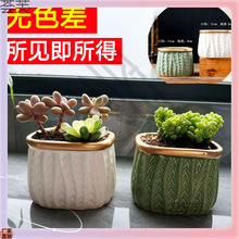 ?���⻨�脓������ֲ���������l�S��ֱ�N�մɻ���