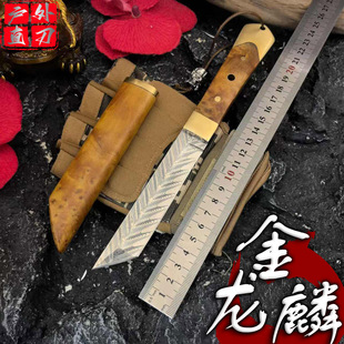 �¿���Rʿ��VG10����๦��һ�w����С������������y�ղس��⵶