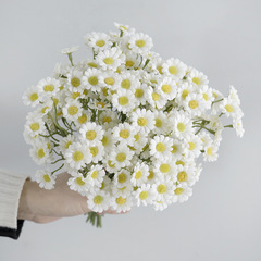 Simulated fake flowers Korean style small fresh pastoral daisy bouquet diy handmade decorative simulated flower bouquet chamomile