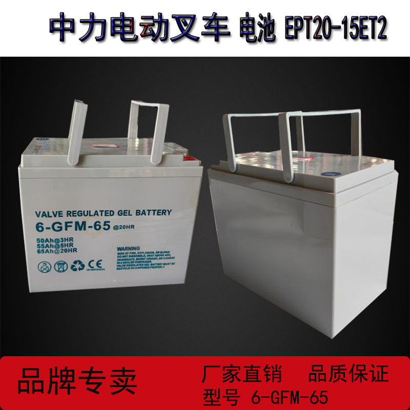 中力电动叉车小金刚1.5吨液压叉车电池EPT20-15ET2免维护铅酸电池