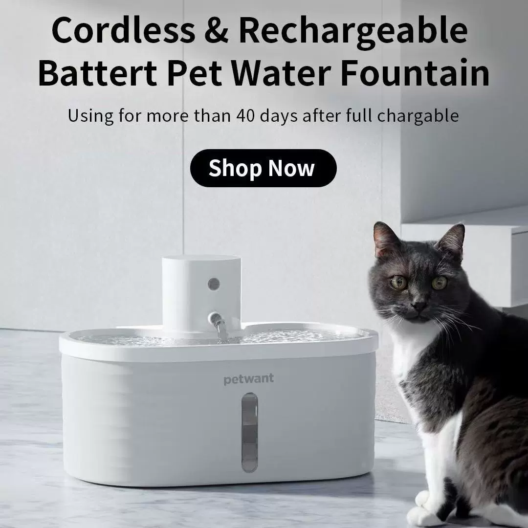 Интеллектуальный диспенсер для воды для домашних животных, беспроводная индукционная циркуляционная вода, трансграничная автоматическая кормушка для кошек