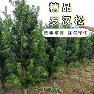 �_�h�ɘ����辰С�~ȸ������ͥԺ�e�����Դ�����͘䘶���F�G����