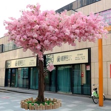 ѻΘ@滨٘;WtS҃ȑ쾰b٘