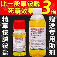 �ߝ�Ⱦ����@��@�}��Ч���ݳ��݄�Ҋ�G�������s�ݶ������s��