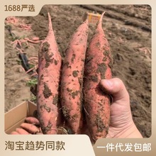 烟薯25号红薯新鲜蜜薯糖心地瓜番薯农家自种沙地流油红心烤薯地瓜