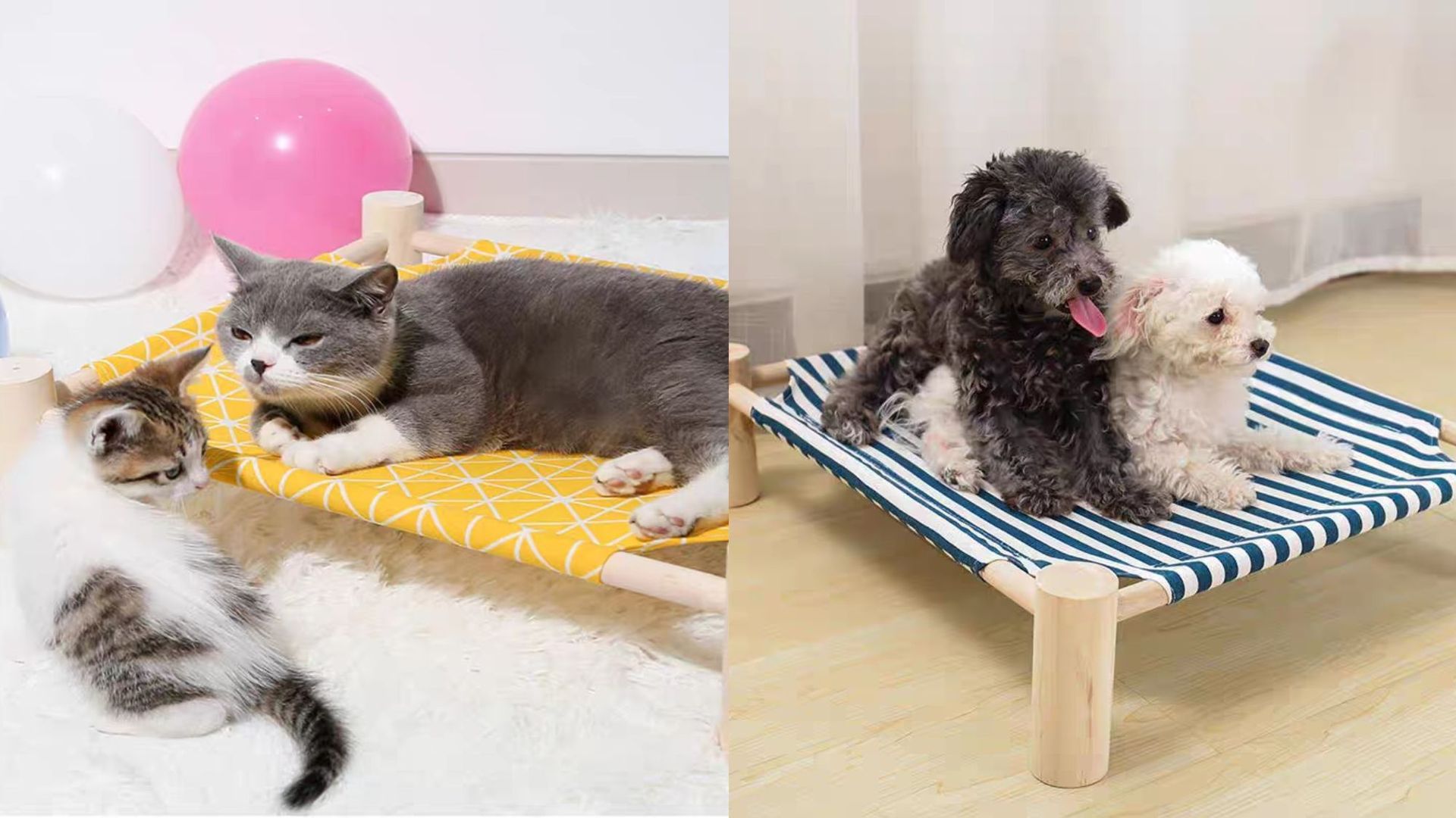 微信图片_20230504180053