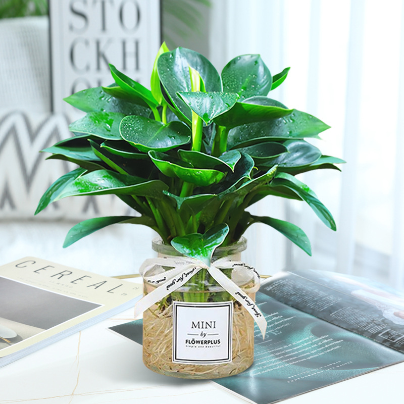 금 다이아몬드 3개(유리병 내) + 크리스탈 머드 + 영양액