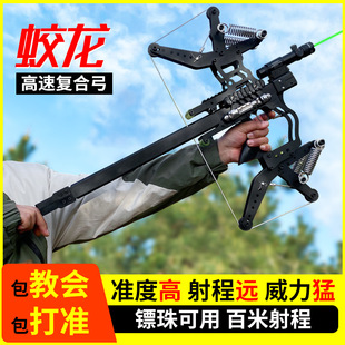 2025�¿������ͺϹ����������ø߾����B�l���ⷴ���Cе��݆��׼