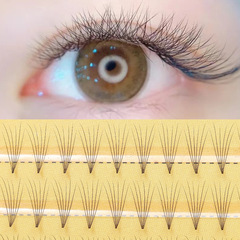 工廠批發稻草人0.07自然單簇6P雞爪毛 6D點膠分段歐美嫁接假睫毛