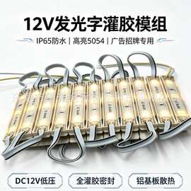 发光字招牌LED光源灌胶模组12V防水七彩5054贴片广告模组灯批发
