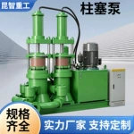 压滤机配套柱塞泵节能柱塞泵不锈钢双缸双进料污泥入料泵定制厂家