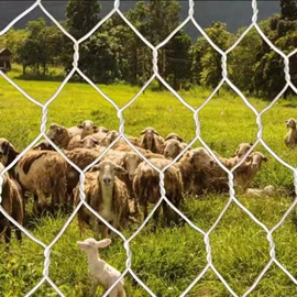 铁丝网;不锈钢网;金属板网