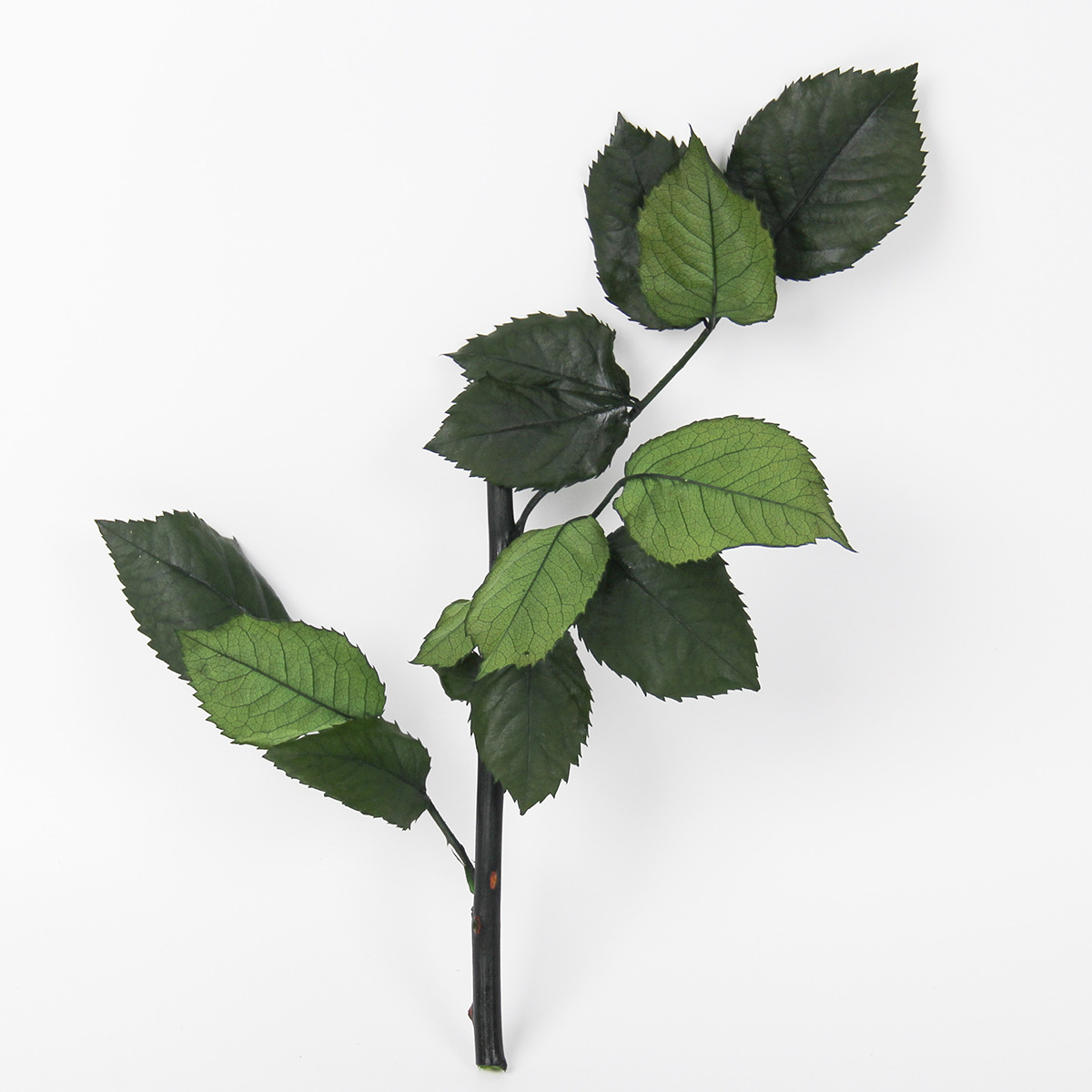 Fábrica al por mayor grado Rosa ramas Eternal Rose ramas sola rosa Rod arreglo floral con flores