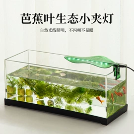 鱼缸;其他小宠用品;其它水族用品