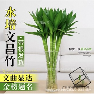 �Ĳ���ˮ�B�^����ɻ����F��ˮ��ֲ���k���҃�ˮ�B�Gֲ�����՚�