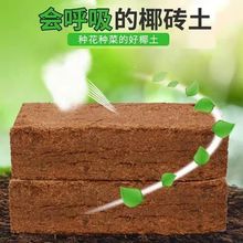 �I�B��ͨ����Ҭ����Ҭ����Ҭ���N���B���N����}�Nֲ��KҮ�u