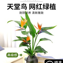 ˮ��ֲ�������B�Gֲ���Ի���ֲ���҃ȿ͏d�o��ˮ���������ļ����G