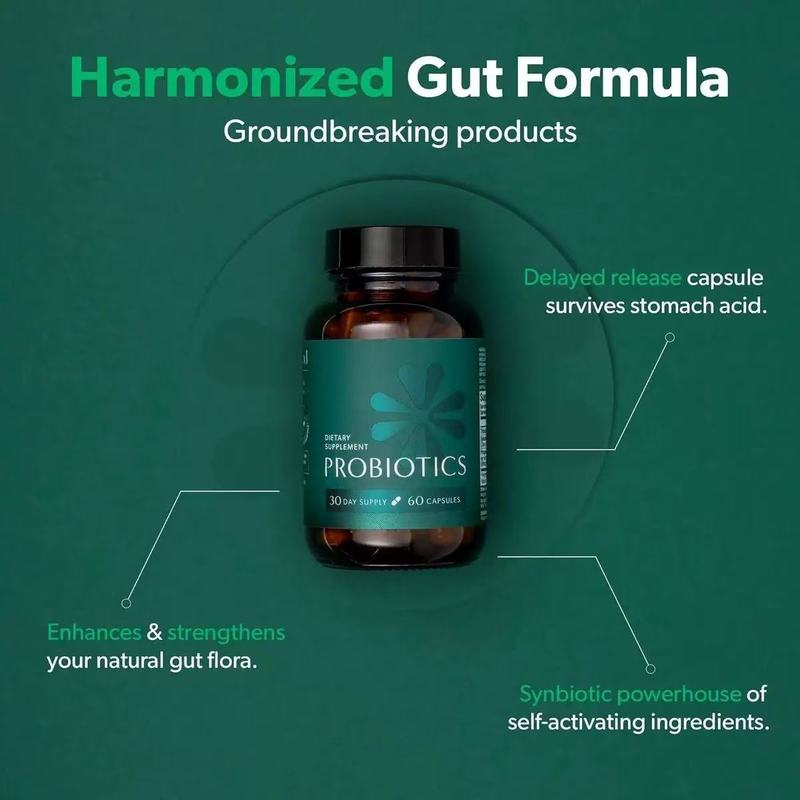Amazon TK 越境腸内プロバイオティクス カプセル Probiotics 60 カプセル 外国貿易ホットセールソース工場|undefined