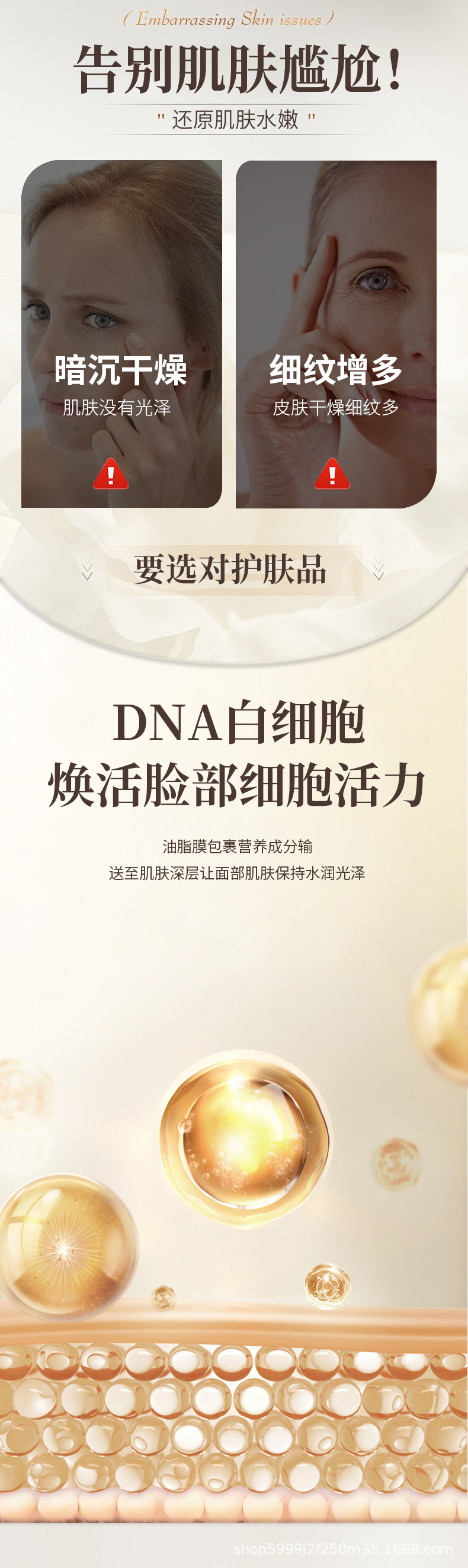 曦鸟白细胞
