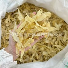 ������z�~�z��؛�������|ʿڸ�Q�����ԃr�ȶ����Ҝ��؂�