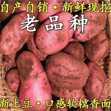 �����S����ϬF���r���ԷN�tƤ�߲��ϴ��R�����ԭ������Ʒ�N���r