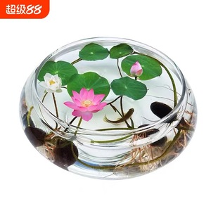 ͸����̖������ƿˮ�໨����~��ˮ�Bֲ����ɏ��˯ɏˮ��������