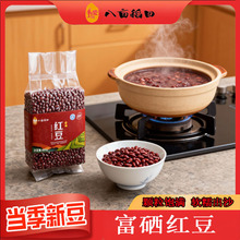 �����t�� ����s�Z�tС��Դ�^�S�Ҷ�ּZ���l ��մ��b�t��405g