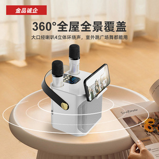Cross-Border S882 Outdoor Karaoke Bluetooth Audio Microphone Home Ktv Set Ys203 Subwoofer Small Speaker