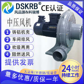 气体抽送隔爆鼓风机 粉尘气体防爆铝壳鼓风机现货防爆型中压风机