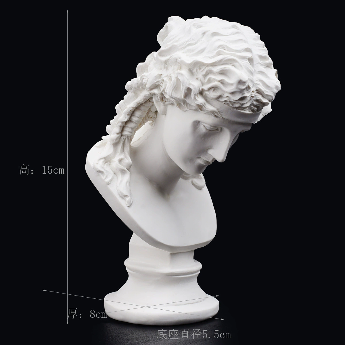 Gypsum avatar art sketch teaching aid sketching practice home decoration art carving window decoration