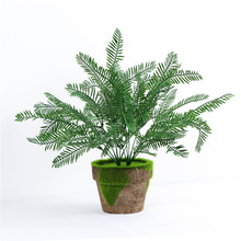 �F؛����Gֲ�Gɫ��˹��ާ�~ֲ����ϼٻ��͏d�����b[���쾰