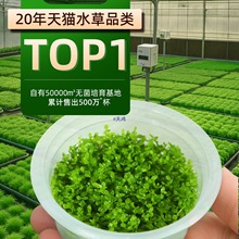 ˮ���~��ֲ�����ˮ�|������������������������şo����ˮ��