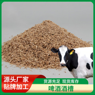 ơ�ƾ��� Ʒ�N�Rȫ ơ����� ơ�ƾ��� �F؛���� ���������I��B