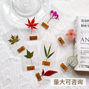 ֲ��˱��������ϰ����LѺ�������ֹ�diy���ϸɻ����ߌW��������