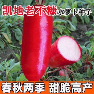 ˮ}N߲˷Nݴ＾N̨ͥԺˮtƤˮ}N