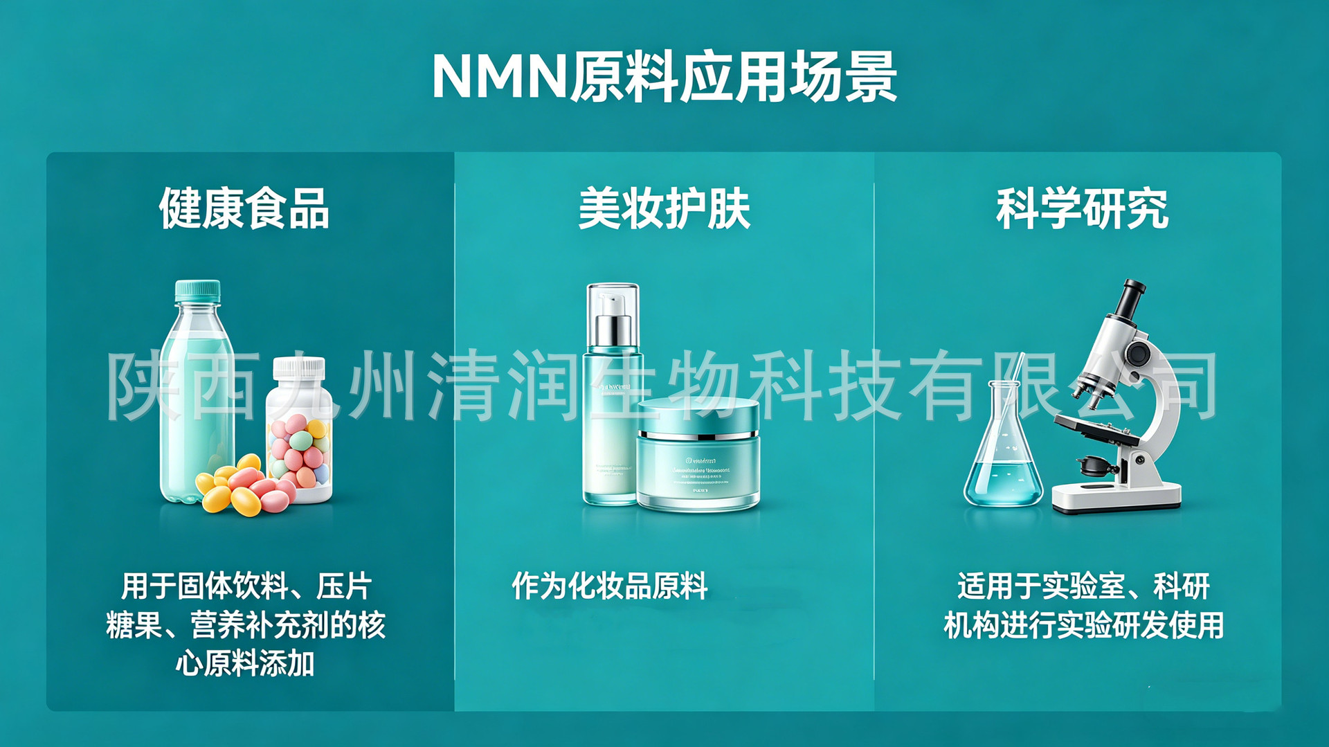 NMN的应用